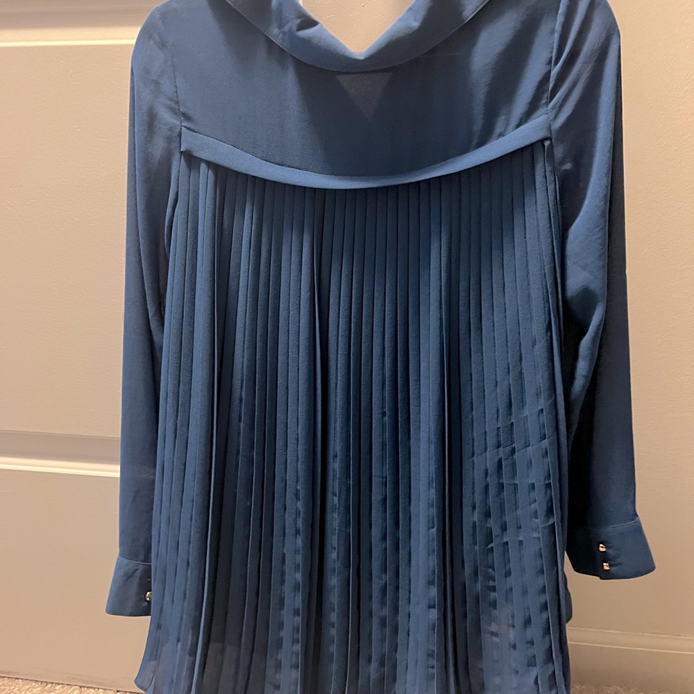 Blue Color Blouse - Picture 2 of 2